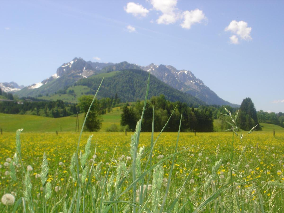 Bio-Bauernhof Bachangerhof 코센 외부 사진