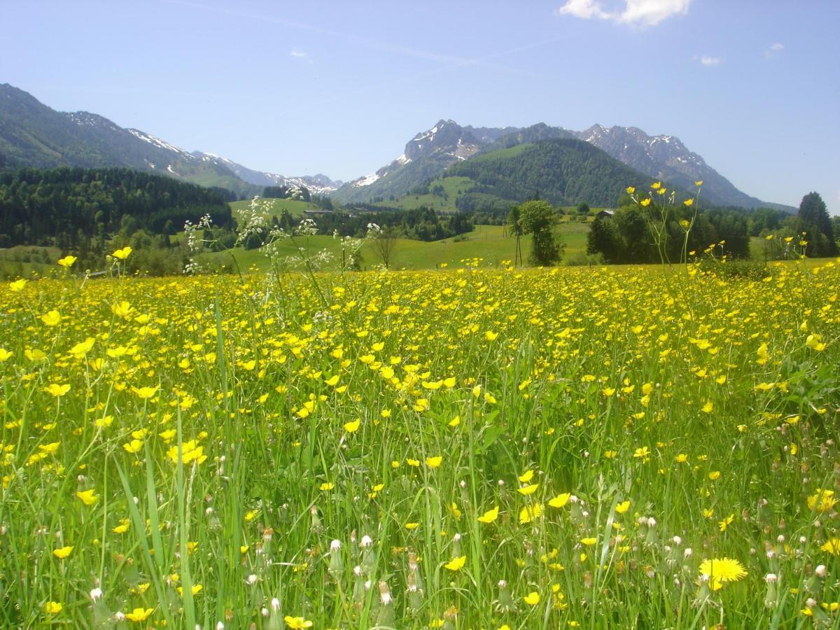 Bio-Bauernhof Bachangerhof 코센 외부 사진