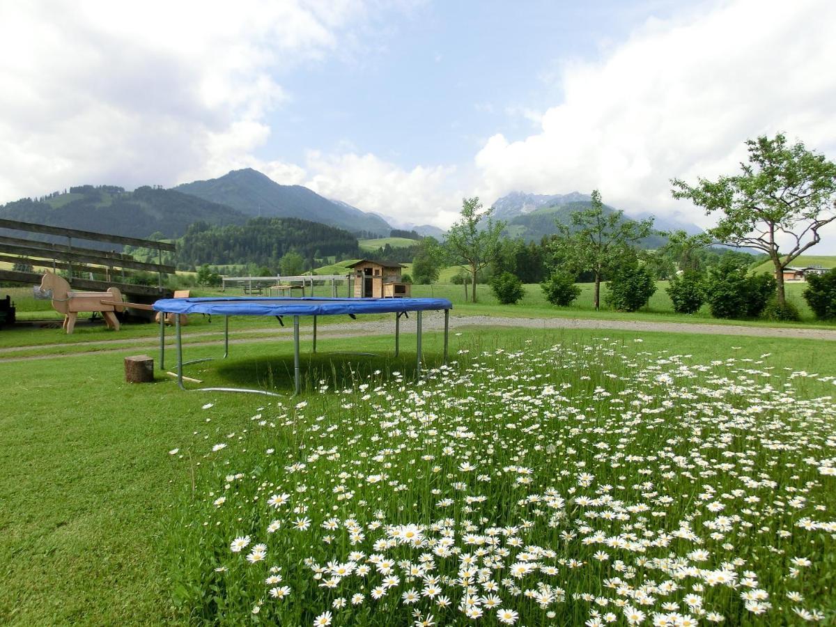 Bio-Bauernhof Bachangerhof 코센 외부 사진