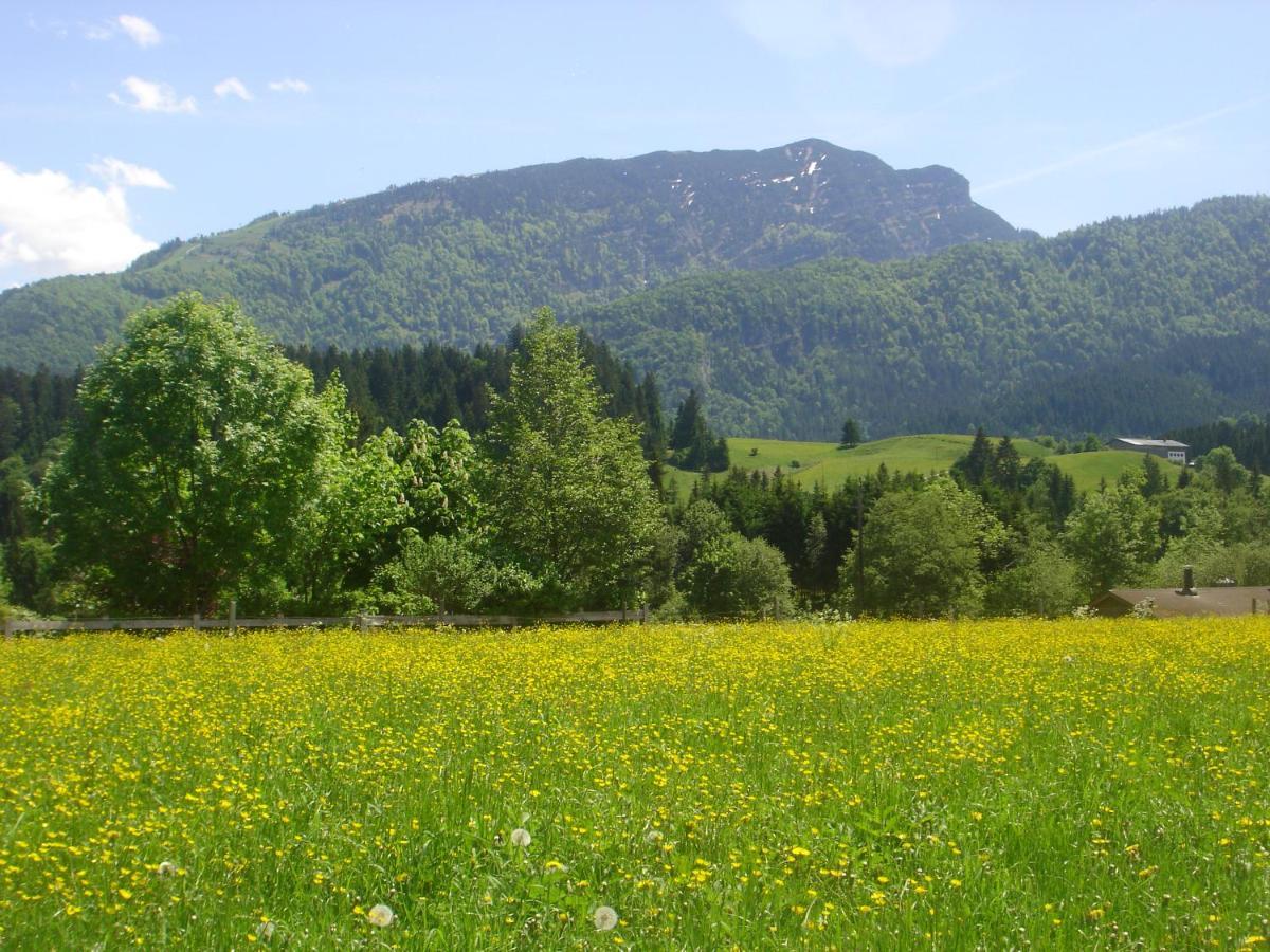Bio-Bauernhof Bachangerhof 코센 외부 사진