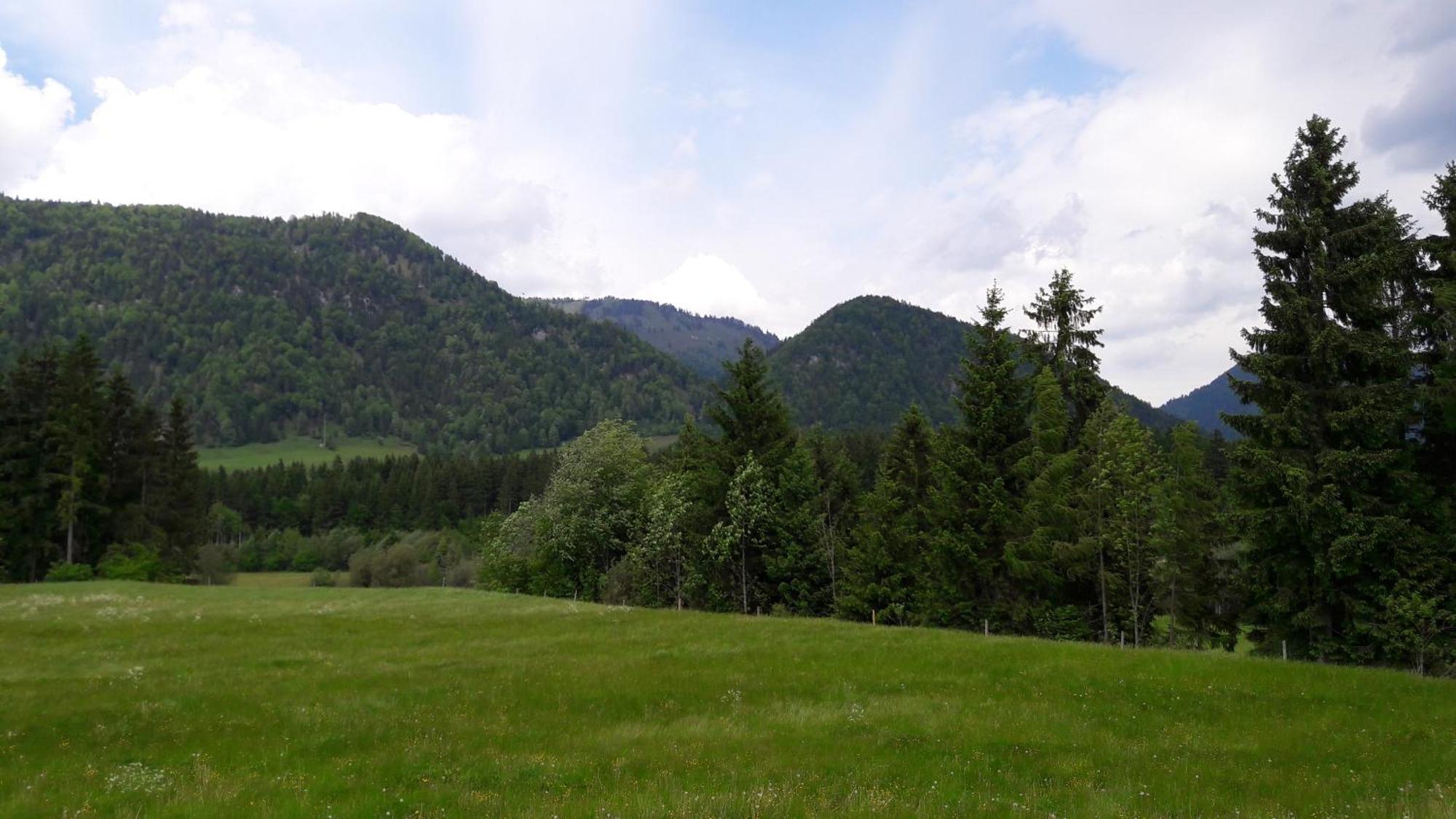 Bio-Bauernhof Bachangerhof 코센 외부 사진