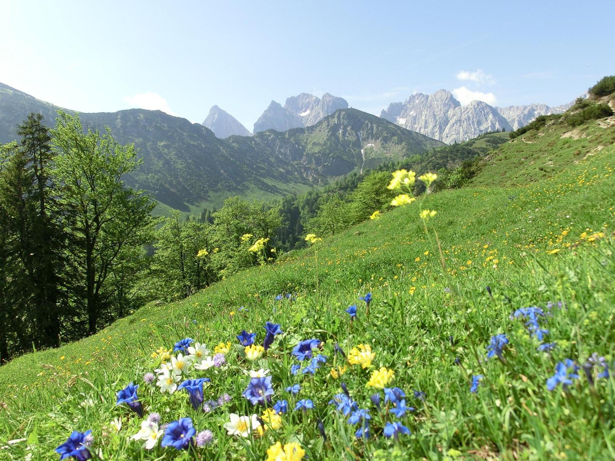 Bio-Bauernhof Bachangerhof 코센 외부 사진